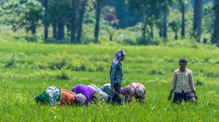 Projects under Agriculture Infrastructure Fund