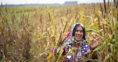 India: New plasma technology promises hope to millions of dryland farmers