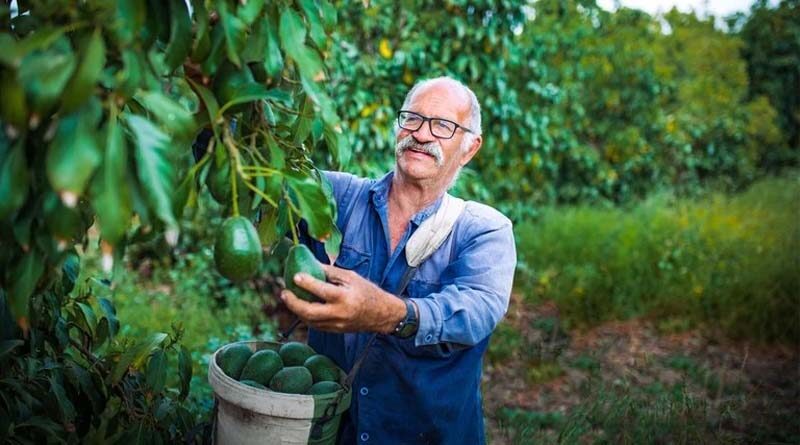 ADAMA Acquiring the Remaining Stakes of its Bio Stimulants Business in Chile