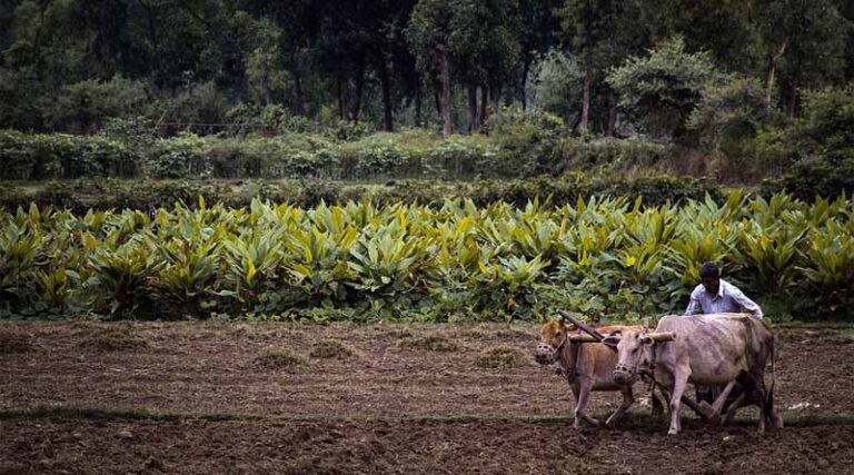 Farmers, cattle owners will be given information about new techniques adopted in different areas