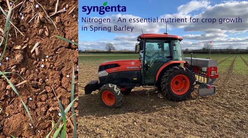 Importance of nitrogen in achieving spring barley malting specifications
