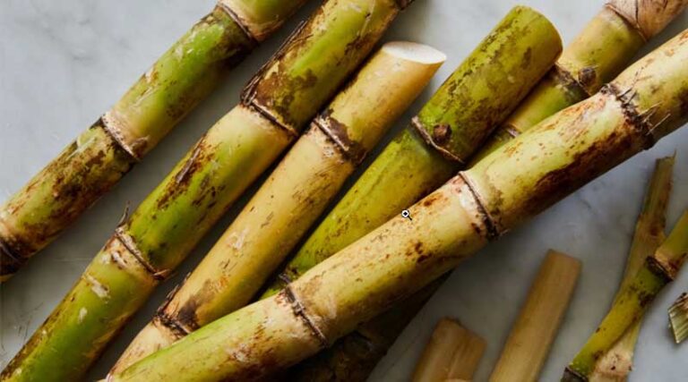 India could export more sugar in 2022/23: Sugar company