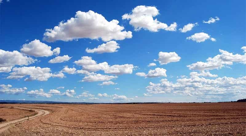 China collects 124,000 new agricultural germplasm resources