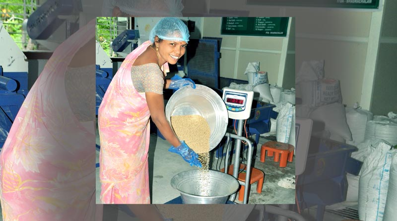 Harvesting Hope: Empowering Tribal Women as Millet Entrepreneurs