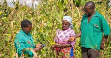 Importance of FAIR data highlighted in workshop as part of plans for digital plant health service in Malawi