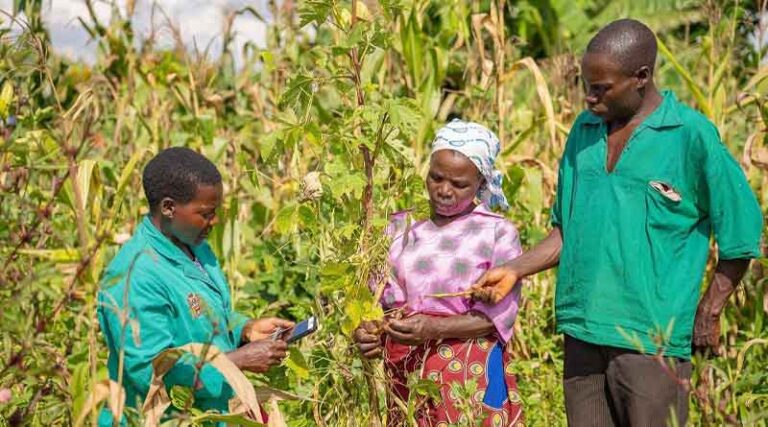 Importance of FAIR data highlighted in workshop as part of plans for digital plant health service in Malawi