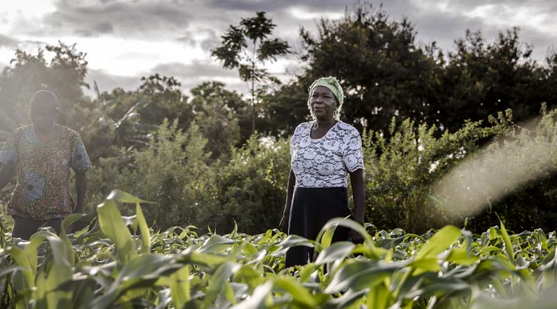 Women’s equality in agrifood systems could boost the global economy by $1 trillion, reduce food insecurity by 45 million: new FAO report
