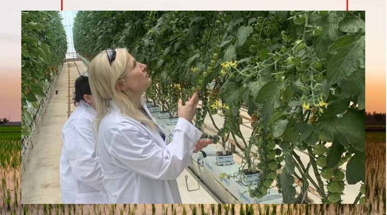More yield, fewer inputs a focus for local growers