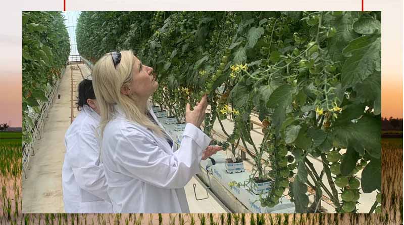 More yield, fewer inputs a focus for local growers