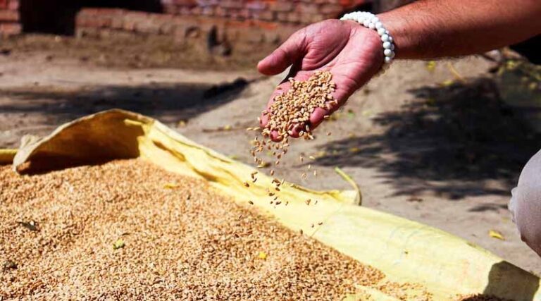 Approval of amendment related to mandi fee reimbursement on wheat export