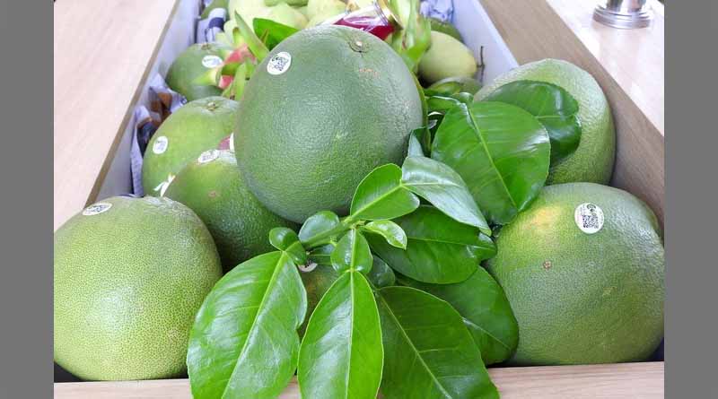 Vietnam's fruit and vegetable exports can reach US$ 4 billion in 2023