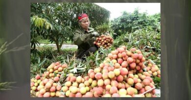 Total export turnover of agro-forestry and fishery products in March 2023 reached 4.66 billion USD