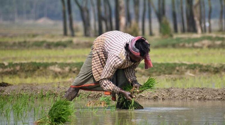 How farm-to-fork consumption behaviour can promote organic farming