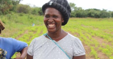 CIMMYT endorses and implements expert recommendations to drive the transformation towards Zero Hunger by 2050