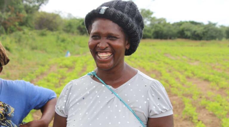 CIMMYT endorses and implements expert recommendations to drive the transformation towards Zero Hunger by 2050
