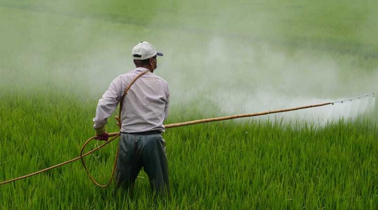 Government bans 3 out of 27 pesticides, farmers relieved