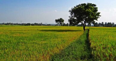 Haryana Agriculture Minister to preside over the meeting of District Public Relations and Grievance Redressal Committee in Sirsa