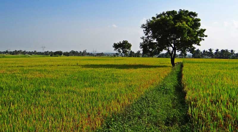 Haryana Agriculture Minister to preside over the meeting of District Public Relations and Grievance Redressal Committee in Sirsa