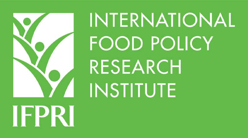 2023 Global Food Policy Report calls for rethinking food crisis responses