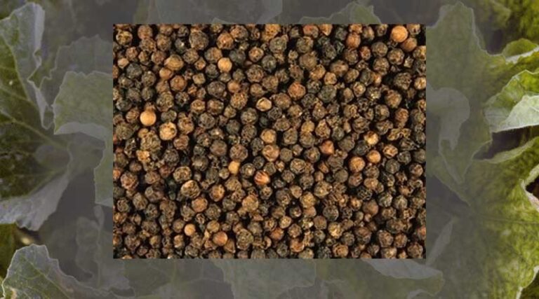 Export of pepper and spices is forecasted to reach 2 billion USD by 2025