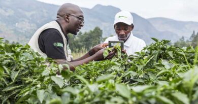 Using mass media campaigns to promote safer pesticide use