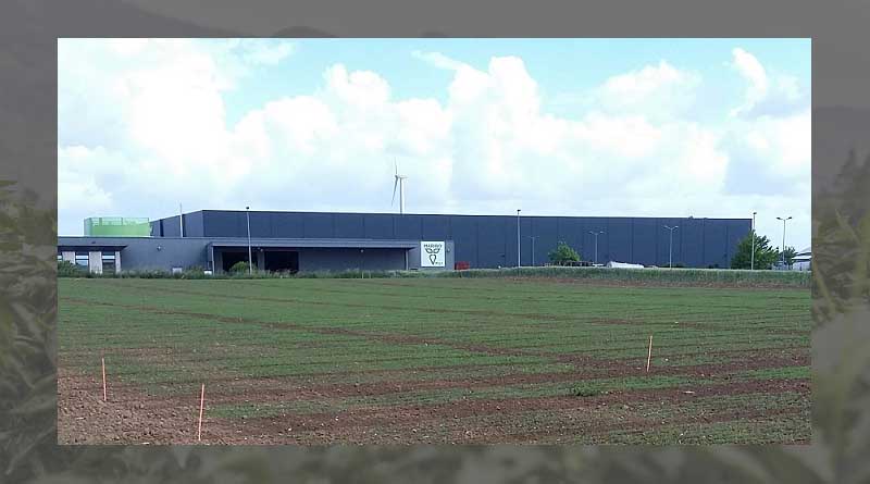 Full integration of european alfalfa breeding
