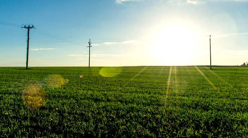 2023 China Agricultural Outlook Conference Held in Beijing