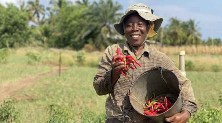Farmers at the Forefront: Utilizing Agricultural Data to Monitor G7 and G20 Pledges