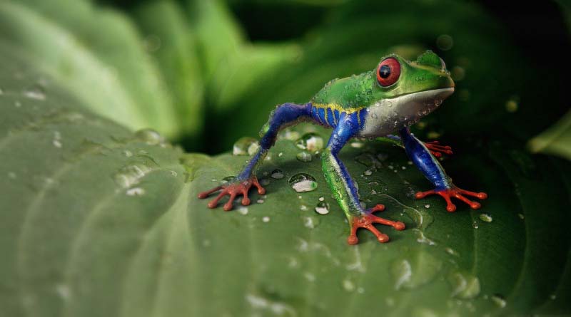 Simon Stiell: “We Need to Transform the Approach to Climate change and Biodiversity”