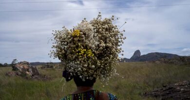 Celebrating the diversity of Globally Important Agricultural Heritage Systems