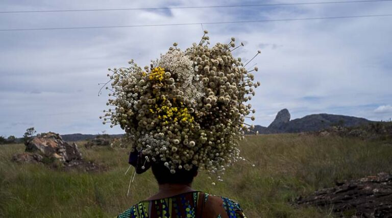Celebrating the diversity of Globally Important Agricultural Heritage Systems