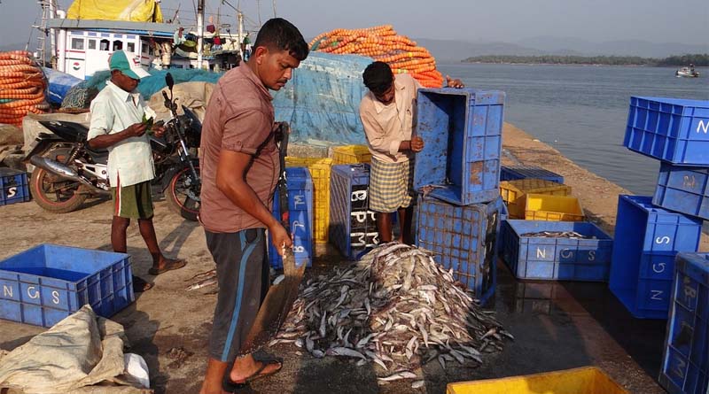 India’s fish production touches a record 162.48 lakh tons per annum in 2021-22