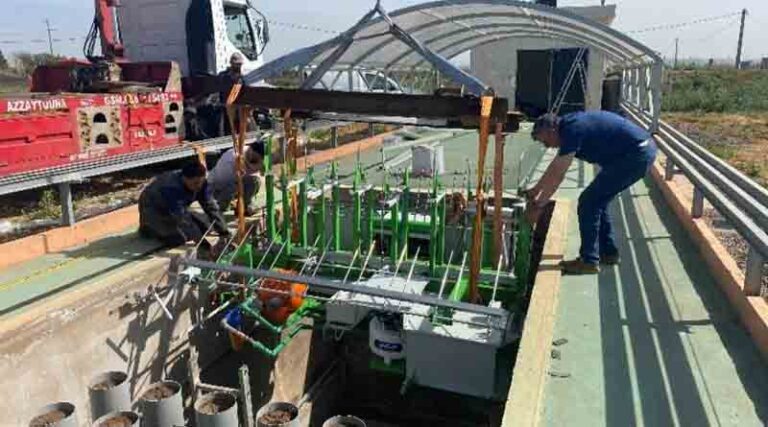 Icarda's phenotyping facilities: a game-changing solution for abiotic stress tolerance in crops
