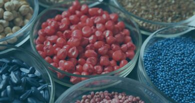 Unveiling The Hidden Power: The Benefits Of Biostimulant Seed Treatments In Agriculture