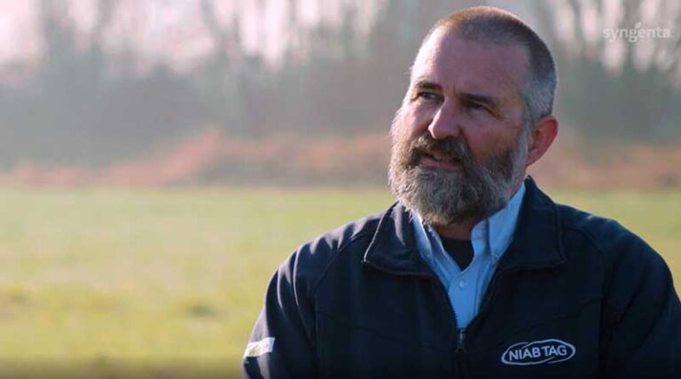 Early grass weed action essential says NIAB research