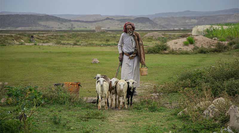 Conflict and economic crisis drive food insecurity and malnutrition in Yemen