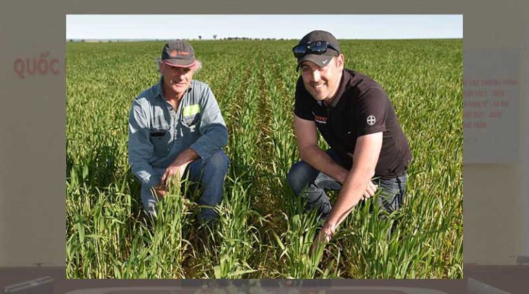 Trials show versatile new broadleaf herbicide a strong rotation option
