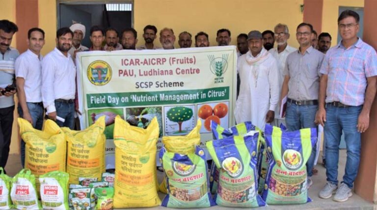 Field day on ‘nutrient management in citrus’ organized at abohar