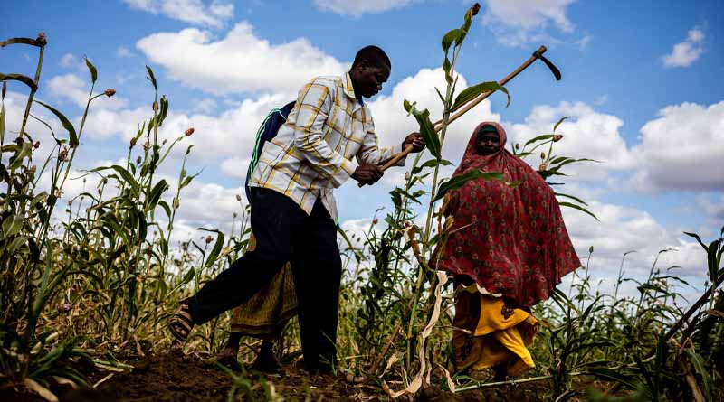 Increasing risk of hunger set to spread in hotspot areas as the Sudan crisis spills over into subregion and el Niño looms - warns new UN report