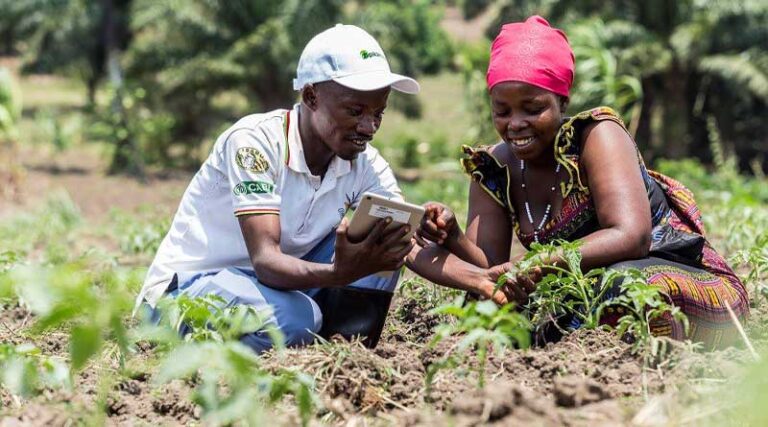 New PlantwisePlus Toolkit helps farmer advisory service providers give better advice
