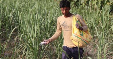 Department of Fertilizers working to stop Black Marketing and Cross-border Smuggling of Fertilizers