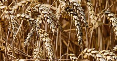 PVS Speaker urges farmers to shun the practice of wheat straw burning