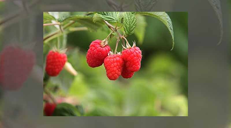 Hutton contributions to £680 m economy boost highlighted