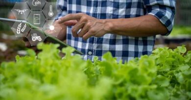 Can artificial intelligence really help solve global crop loss?