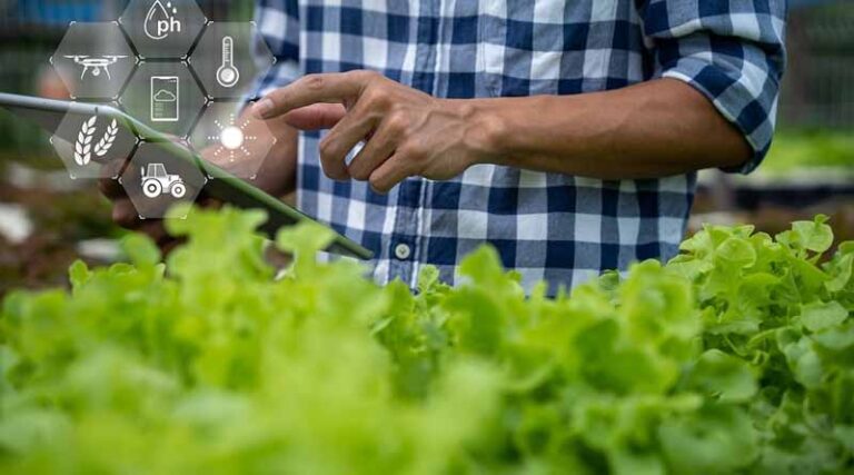 Can artificial intelligence really help solve global crop loss?