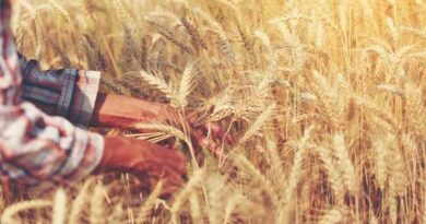 Healthy Plants: Healthy Planet