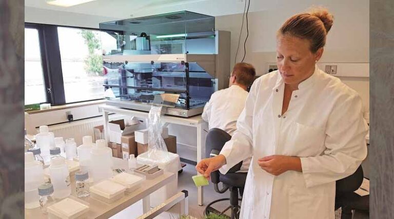 A brand new screening method to boost plant breeding