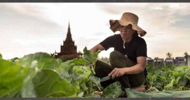Why plant health matters
