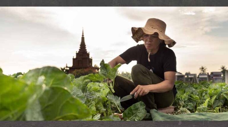 Why plant health matters