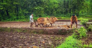 Haryana Government is encouraging consumption of coarse grains in the state - JP Dalal